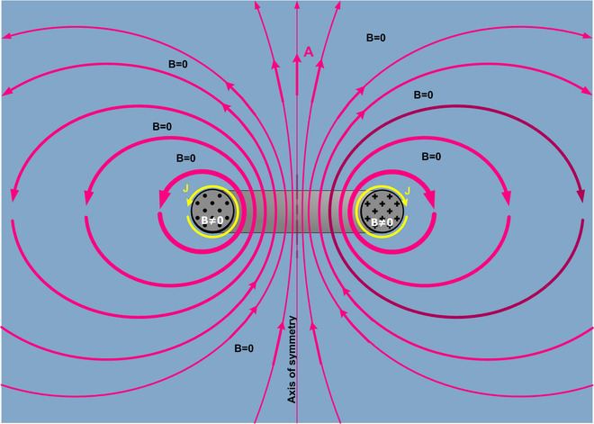 Toroid Toroidal inductors and transformers Wikipedia
