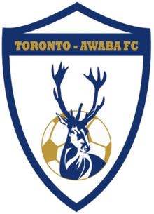 Toronto Awaba Stags FC httpsuploadwikimediaorgwikipediaenthumb1