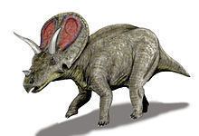 Torosaurus httpsuploadwikimediaorgwikipediacommonsthu