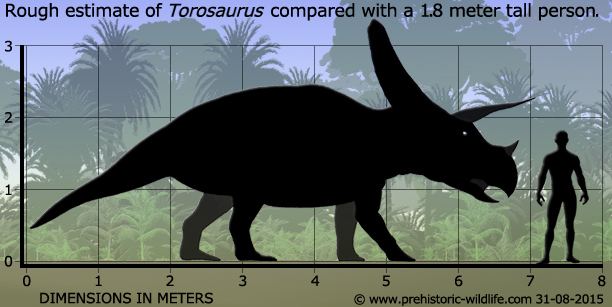 Torosaurus Torosaurus