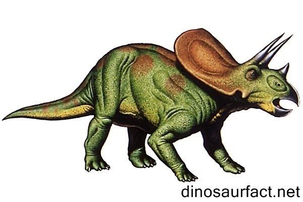 Torosaurus Torosaurus dinosaur