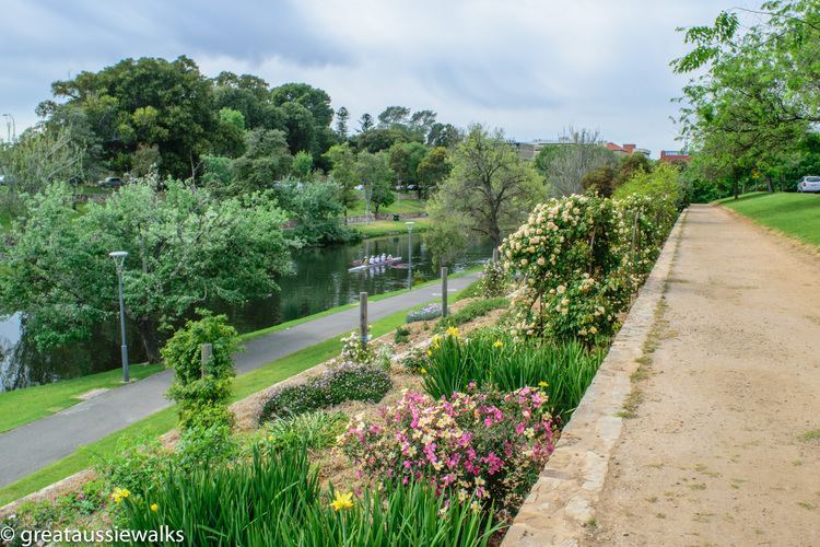 Torrens Linear Park River Torrens Linear Trail Loops Dog and Family Friendly Walks