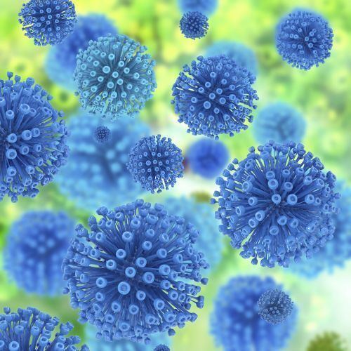Toscana virus TOSCANA VIRUS Sandly Fever Virus Products Diesse Diagnostica