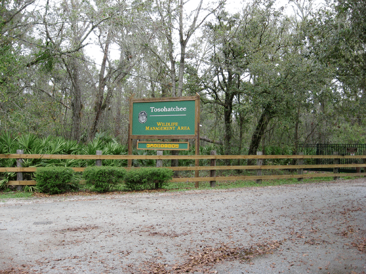 Tosohatchee Wildlife Management Area Tosohatchee Wildlife Management Area Christmas Florida