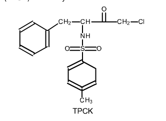 Tosyl phenylalanyl chloromethyl ketone d2vlcm61l7u1fscloudfrontnetmedia2Fc8e2Fc8e557