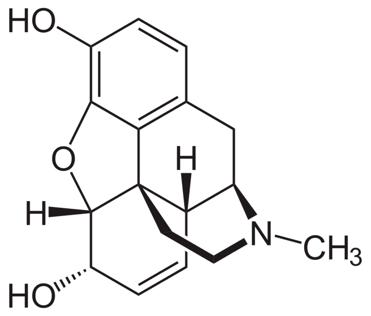 Total synthesis of morphine and related alkaloids