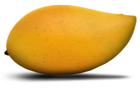 Totapuri (mango) sunrisenaturalsinproductimagesthumbtotapuripng