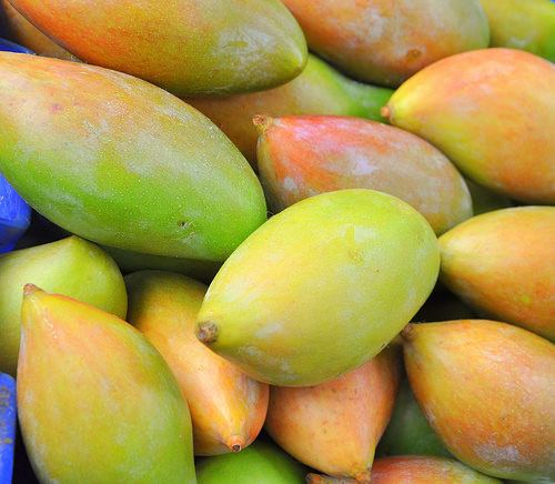 Totapuri (mango) Totapuri Mango Exporters inChennai Tamil Nadu India by KDR Exports