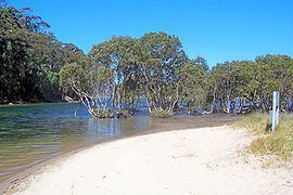 Towlers Bay, New South Wales httpsuploadwikimediaorgwikipediacommonsthu