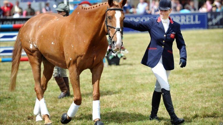 Toytown (horse) BBC News Zara Phillips retires her horse Toytown at Gatcombe Park