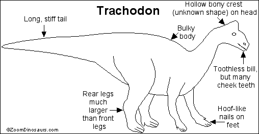 Trachodon Trachodon Printout ZoomDinosaurscom