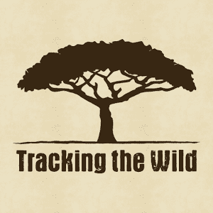 Tracking the Wild httpslh3ggphtcomg4v7IeN6d4rldQvI5hHink3MgEwh