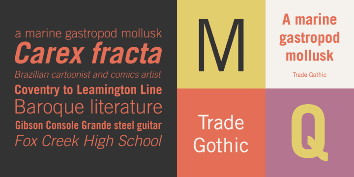 Trade Gothic Trade Gothic Webfont Desktop font MyFonts