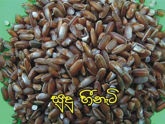 Traditional rice of Sri Lanka cdnsimplesitecomi421f284008257529847618i284
