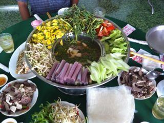 Traditional Vietnamese medicine Traditional Medicine in Vietnam