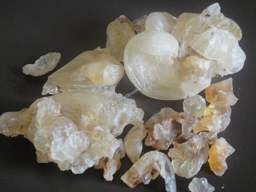 Tragacanth httpspimgtradeindiacom01301874b2GumTraga