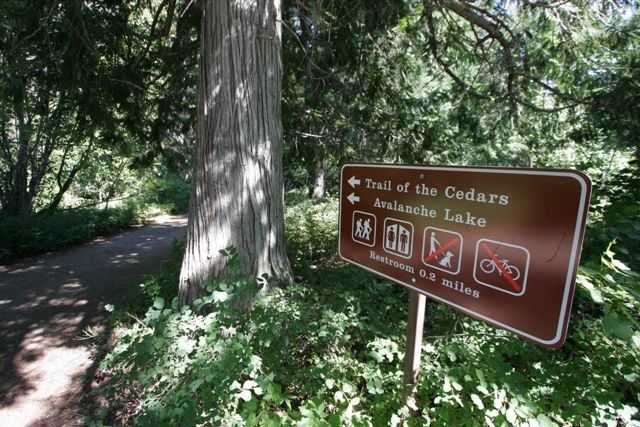 Trail of the Cedars Trail of the Cedars