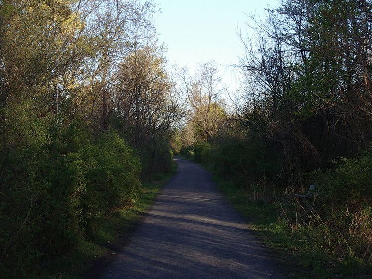 Trails in Ithaca, New York