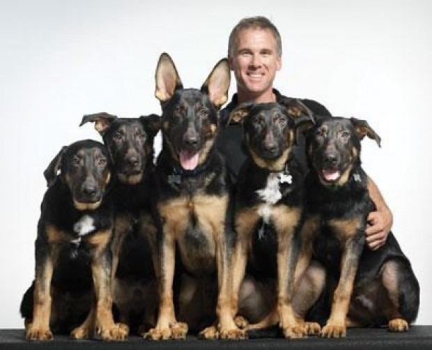 Trakr Cloned dogs training for search and rescue News malibutimescom
