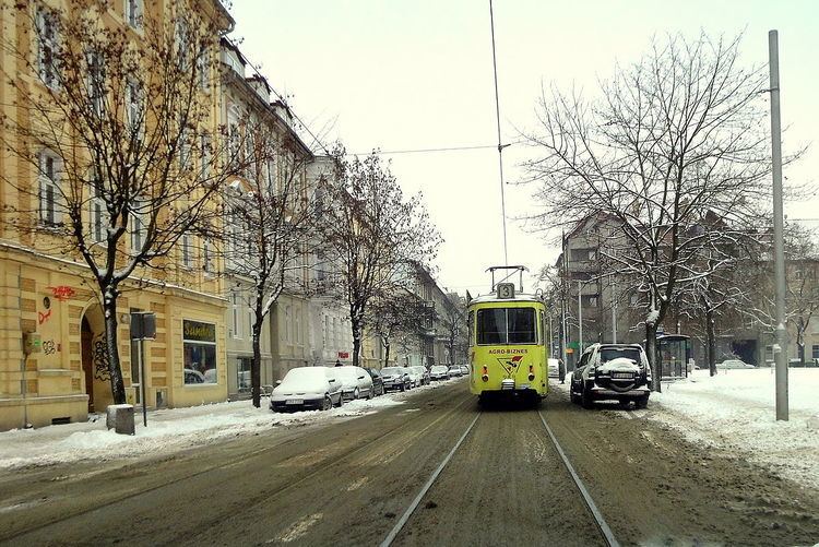 Trams in Gorzów Wielkopolski