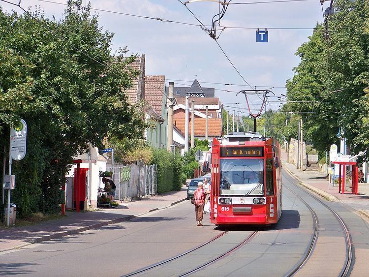 Trams in Halle (Saale)