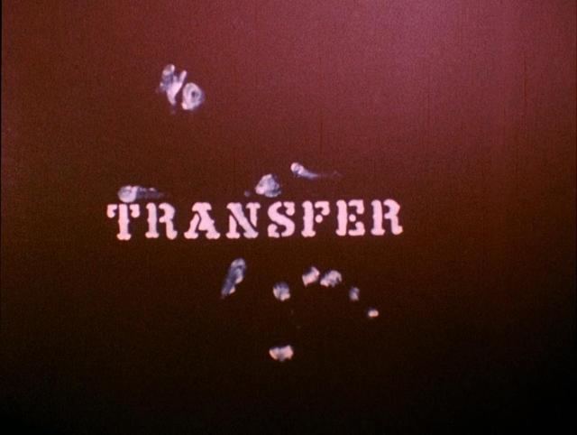 Transfer (1966 film) iimgurcomGlShEEgjpg1
