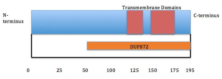 Transmembrane protein 134