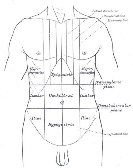 Transpyloric plane