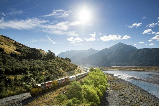 TranzAlpine TranzAlpine Train Christchurch New Zealand Top Tips Before You