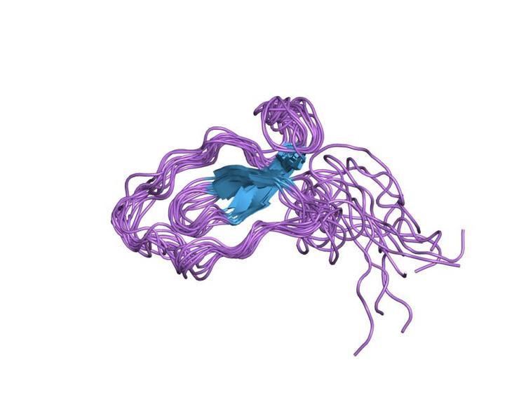 Trappin protein transglutaminase binding domain