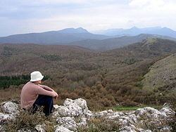 Trascău Mountains httpsuploadwikimediaorgwikipediacommonsthu
