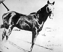 Traveler (horse) httpsuploadwikimediaorgwikipediacommonsthu