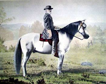 Traveller (horse) Traveller 1857 1871 Find A Grave Memorial