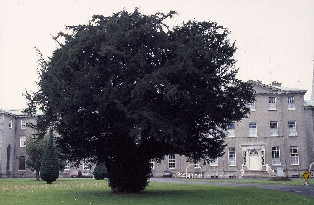 Tree Council of Ireland