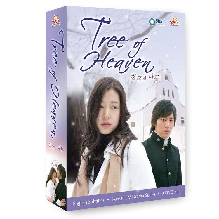 Tree of Heaven (TV series) Tree of Heaven Korean TV Drama Series Review Women