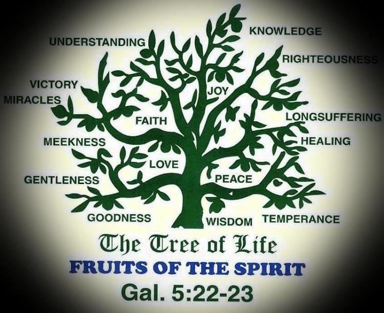 Tree of life (biblical) christrescuemissionorgyahoositeadminassetsim