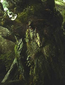 Treebeard httpsuploadwikimediaorgwikipediaen22eTre