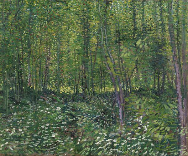 Trees and Undergrowth (Van Gogh series) httpslh4ggphtcomYHKIE0HzqGRVI4T9vGUsCb3ETIf