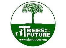 Trees for the Future internationaltreefoundationorgwpcontentuploads