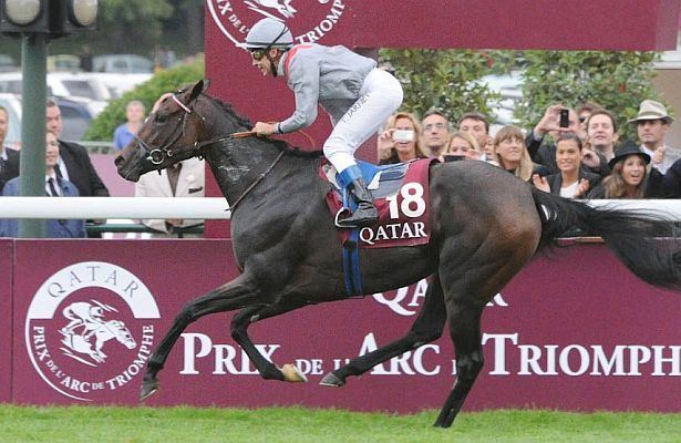 Treve (horse) Treve traversing uncharted waters in her quest for a third Arc