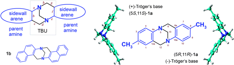 Tröger's base Oligo Trger39s basesnew molecular scaffolds Chemical Society