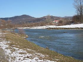 Târgului River (Argeș) httpsuploadwikimediaorgwikipediacommonsthu