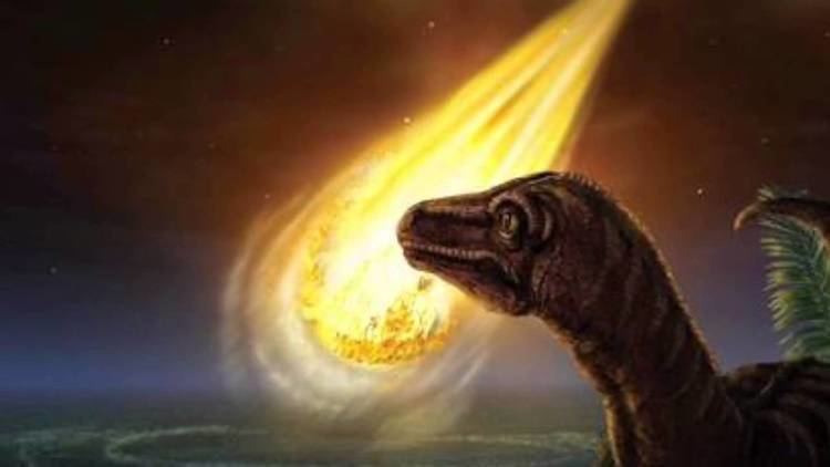 Triassic–Jurassic extinction event httpsiytimgcomviktGRLIV9fosmaxresdefaultjpg
