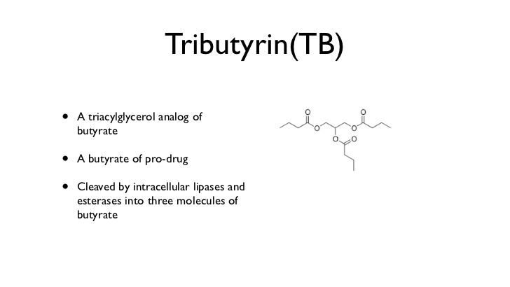 Tributyrin Tributyrin against melanoma