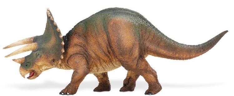 Triceratops Triceratops Pictures Facts The Dinosaur Database