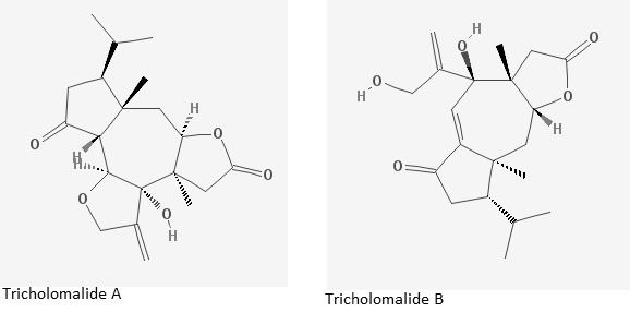 Tricholomalide