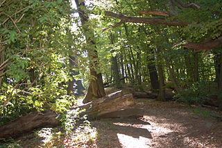 Tricity Landscape Park httpsuploadwikimediaorgwikipediacommonsthu