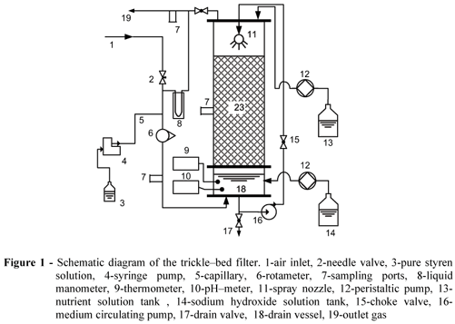 The Schematic diagram of the trickle-bedd filter