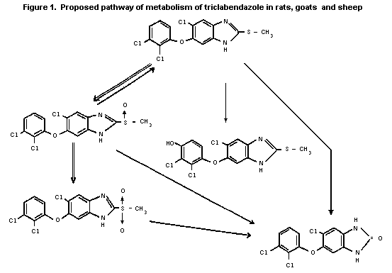 Triclabendazole 773 Triclabendazole WHO Food Additives Series 31