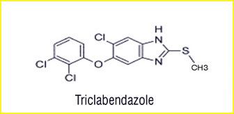 Triclabendazole D H Organics